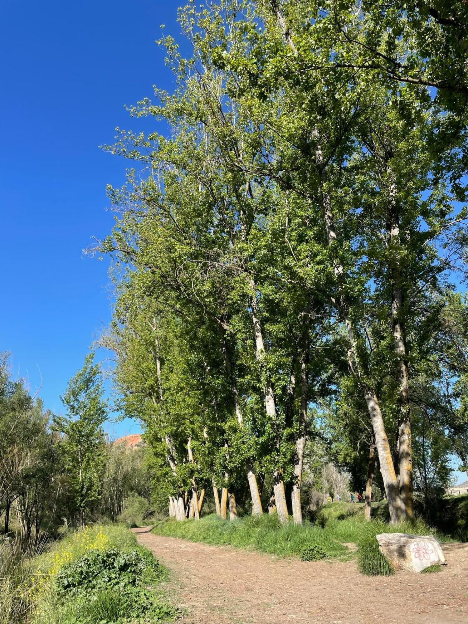 Apartamento Ruta Del Veleta Cenes De La Vega Bagian luar foto
